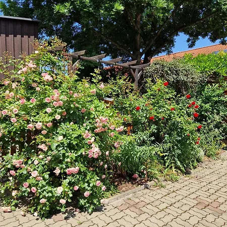 Apartament Bavaria Wr - Luja Wernigerode