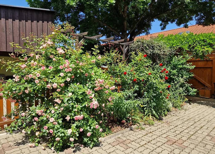 דירה Bavaria Wr - Luja ורניגרוד